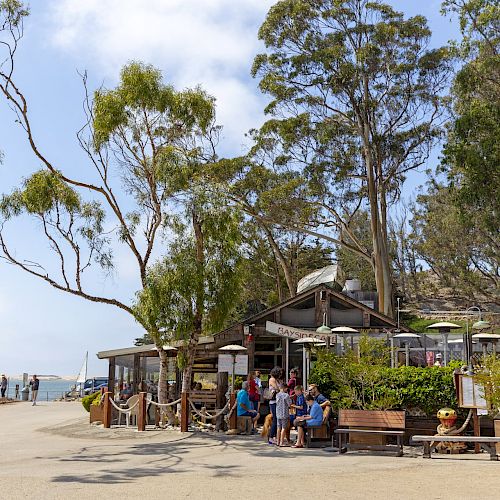 A group of people sitting outside a rustic building surrounded by trees, with a view of the ocean in the background.