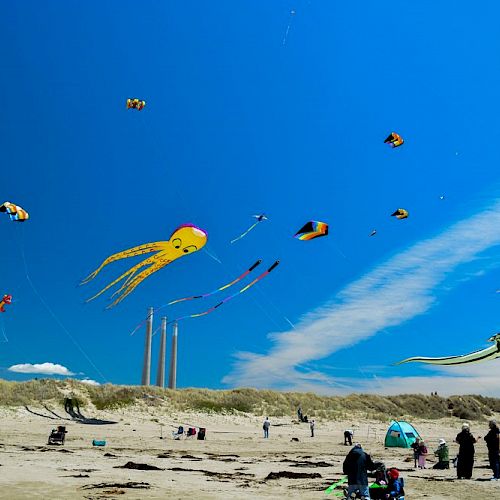 People are flying various colorful kites on a sunny beach, with some clouds in the sky. Several individuals are gathered on the sand.