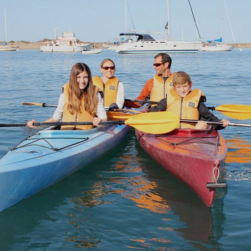 Four people are kayaking together, two in a blue kayak and two in a red one, wearing life jackets on a sunny day in a calm water area.