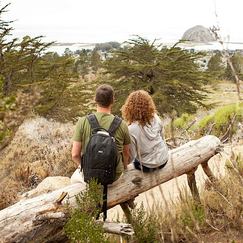 Two people sit on a fallen tree trunk, facing away, overlooking a nature scene with trees and a distant large rock formation visible.