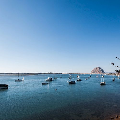 The image shows a peaceful coastal scene with several sailboats anchored in calm blue water, a prominent rock formation in the distance, and clear blue skies.