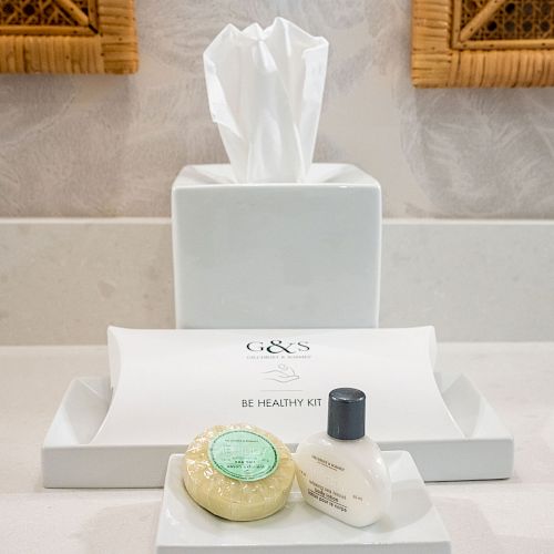 The image shows a bathroom counter with a tissue box, a 