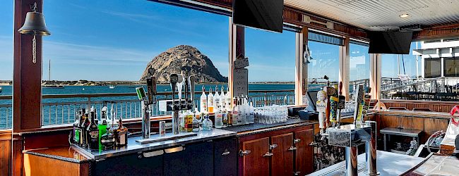 A bar with various bottles and taps overlooking a scenic waterfront view, featuring a plush toy starfish on the counter.