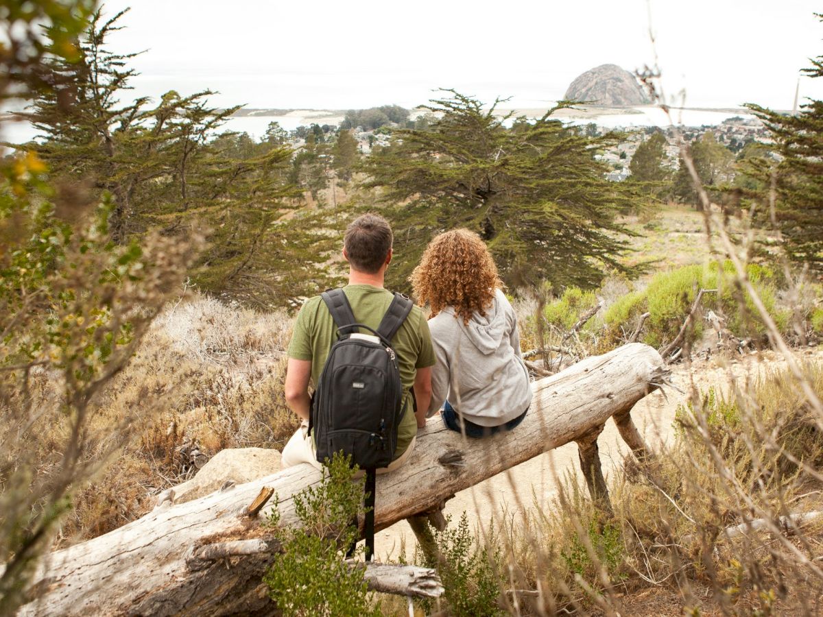 Two people sitting on a fallen tree in a forested area, with a large rock formation visible in the distance.